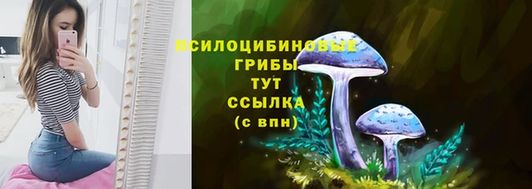 спиды Михайловка