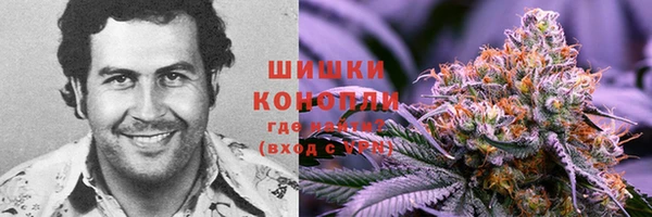соль ск Устюжна