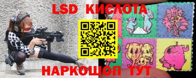 apvp Бийск