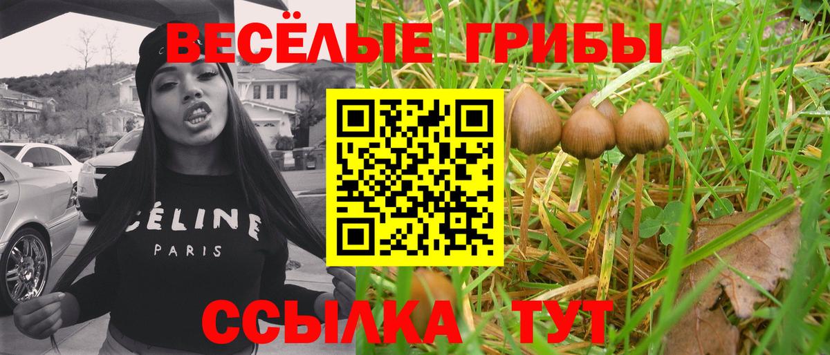 Псилоцибиновые грибы MAGIC MUSHROOMS  Вход с VPN  Волжский 