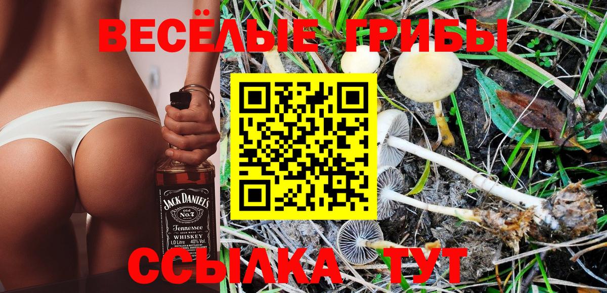 Галлюциногенные грибы прущие грибы  Галлюциногенные грибы Psilocybine cubensis  Волжский 